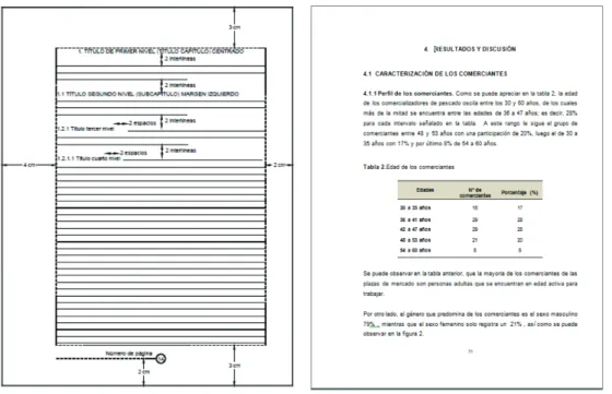 FIGURA 3.  Esquema de presentación de títulos en el documento.ICOnTeC (2008)
