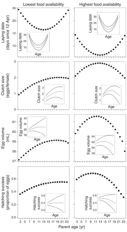 FIG. 6. Variation in the breeding parameters with age for the two extreme values of food  availability per capita (years with lowest and highest values) to explore the two patterns of  age variation under different food conditions