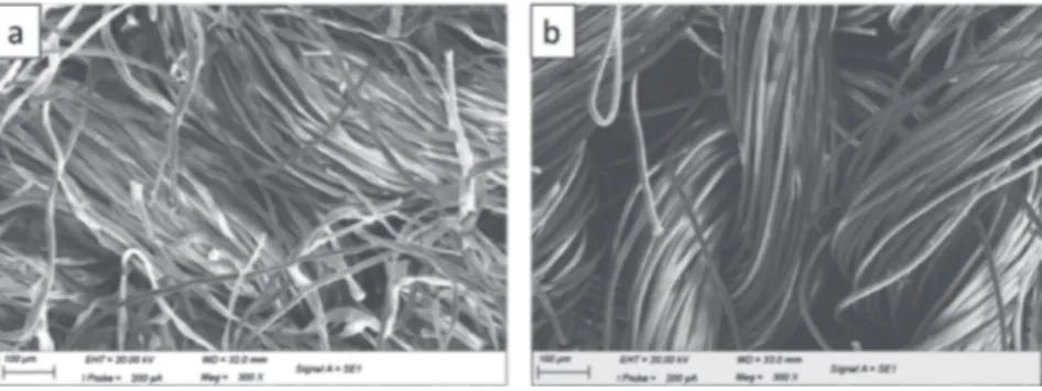 Figure 1.  SEM pictures of textile substrate (pretreated 60/40) before and after enzymatic hydrolysis,  (a) pretreated textile fibres before hydrolysis at ×300 magnification; (b) pretreated textile fibres after  hydrolysis at ×300 magnification.