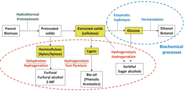 Figure 1.  “Whole biomass” integrated biorefinery scheme