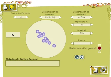 Figura 3. Simulació del creixement d’un bacteri. 