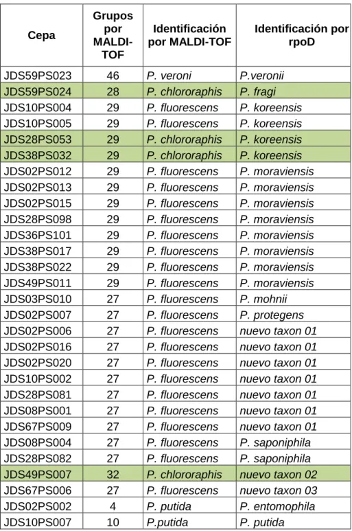 Tabla  7  En  la  tabla  se  indican  las  cepas  en  las  que  se  ha  visto  que  existe  una  discrepancia  en  la  identificación  por  MALDI-TOF  y  por  secuencia  del  gen  rpoD
