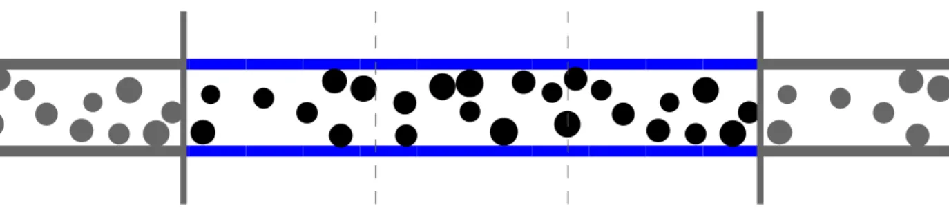 Figure 4: Periodic boundary conditions in a straight corridor. The corridor in blue and pedes- pedes-trians in black are the real elements of the system