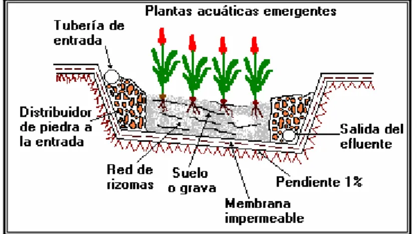 Ilustración 5 Biofiltro de flujo subsuperficial 