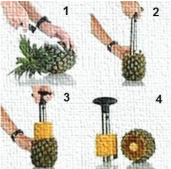 Figura 2.2. Procesamiento de la piña con un cortador semi-manual, 1: corte de una rodaja  por la parte de la corona, 2: inserción giratoria del cortador, 3: desprendimiento vertical de 