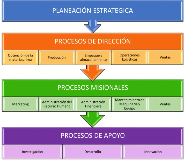 Ilustración 3 Mapa de Procesos