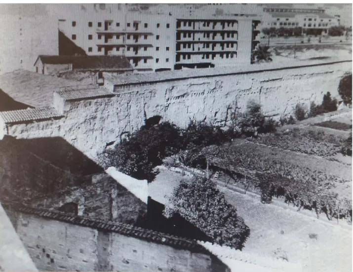 Fig. 11. Vista d’un angle de l’hort conventual de la Concepció amb el mur de tancat que abans fou murada medieval, on llur tram vorejava part del carrer Bonaire i en el segle XVII s’incorporà al Convent