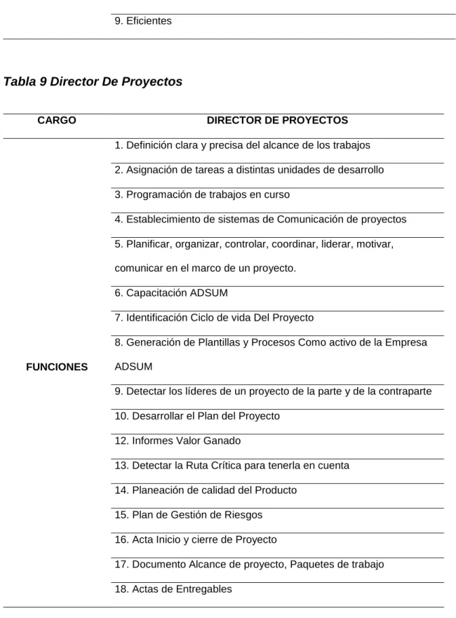 Tabla 9 Director De Proyectos 