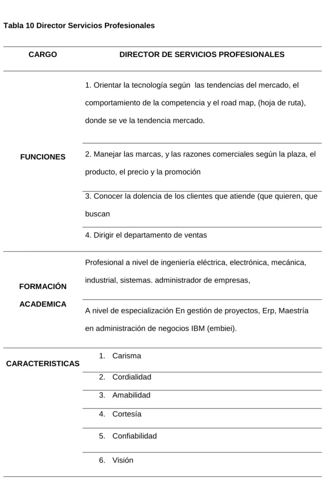 Tabla 10 Director Servicios Profesionales 