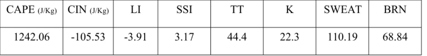 Table 2. Summary of the static stability indices and thermodynamic parameters.