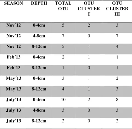 Table  1  shows  number  of  clones  for  each  OTU  binned  to  Cluster  I  and  Cluster  III  according to the sampling conditions (season and depth)