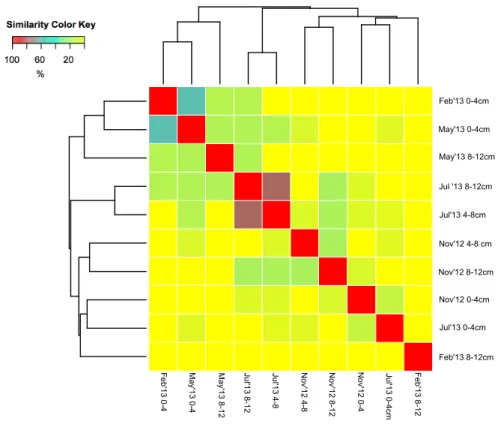 Figure 7. Heat map based on a dendrogram of samples according to its time sampling and depth
