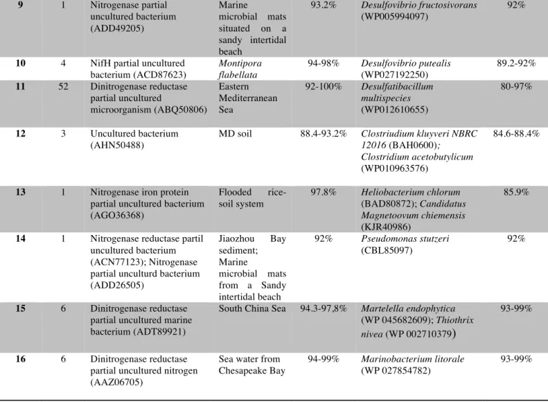 Table 3. Number of clones for each group and their closest nifH deduced amino acid sequence cultured and uncultured  bacterium with their % identity