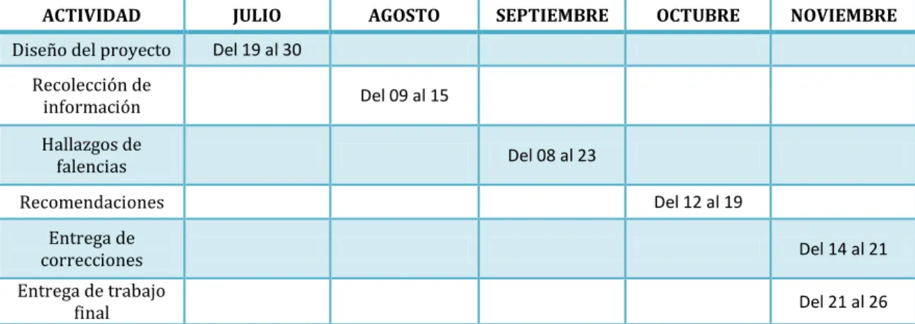 Cuadro 2: Cronograma de actividades. 