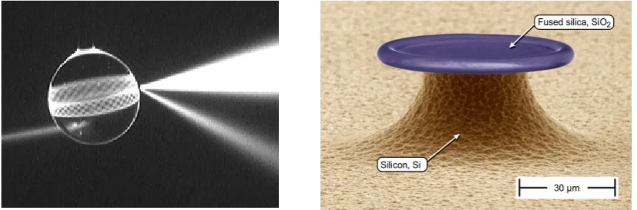 Figure 1.3: Left: Spherical Optical Whispering Gallery resonator already excited by a laser [9].