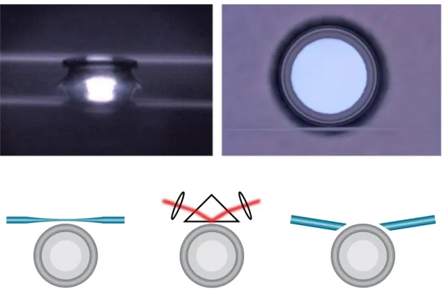 Figure 1.5: Top: Top and side images of a real coupling set-up. Lower part of top left picture is the reflexion of the microtoroid and fiber on the silicon wafer