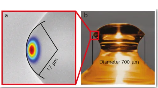 Figure 1.6: Confination of WGM in a microresonator cavity. The confination has approximately circular symmetry