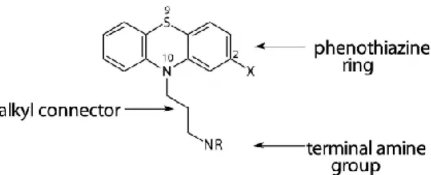 Figura 5. Representación de la estructura química general de las fenotiazinas 16 .  