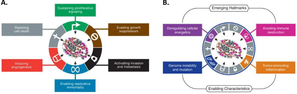 Figura 1. Representación de las características principales del cancer (Hallmarks of cancer)