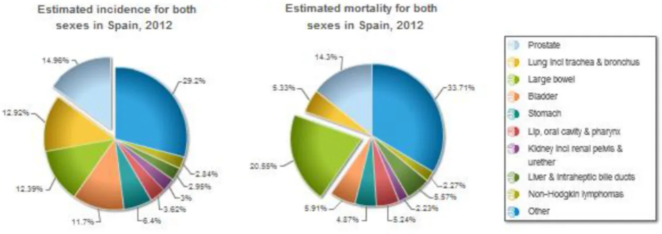 Figura 2. Representación gráfica en tanto por ciento (%) de la mortalidad y la incidencia de  varios tipos de cáncer en España, en el año 2012