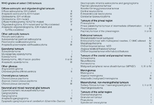 Tabla 1. Clasificación actual de los tumores del SNC de acuerdo con la OMS CNS 2016. En  ella se describen los 13 tipos principales de tumores del SNC y los diferentes subtipos de éstos