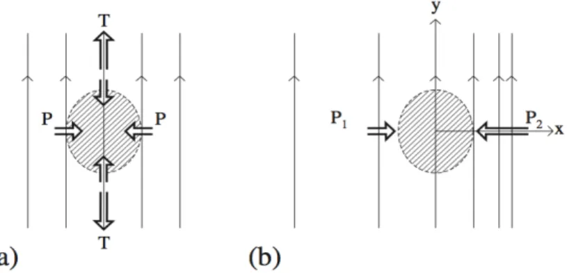 Figura	2.1.	(a)	En	un	campo	magnético	uniforme,	la	presión	magnética	(P)	y	la	tensión	(T)	se	anulan.	