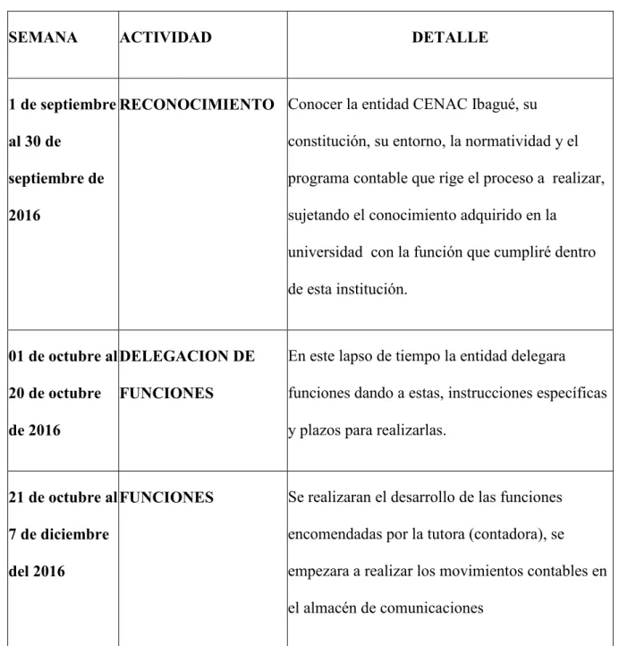 Tabla 1: Cronograma actividades 