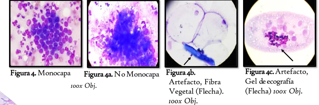 Figura 4. Monocapa