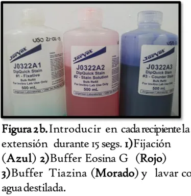 Figura 2. Tinción Giemsa