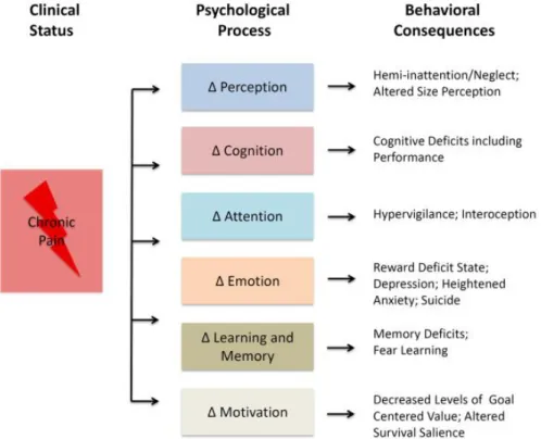 Figure 1. Pain, psychological processes, and behavior (Simons et al., 2014). 