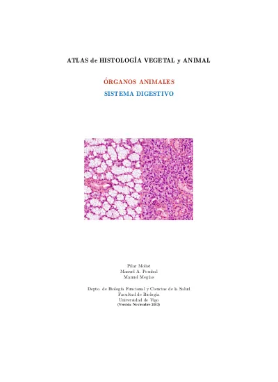 ATLAS De HISTOLOGÍA VEGETAL Y ANIMAL ÓRGANOS ANIMALES SISTEMA DIGESTIVO