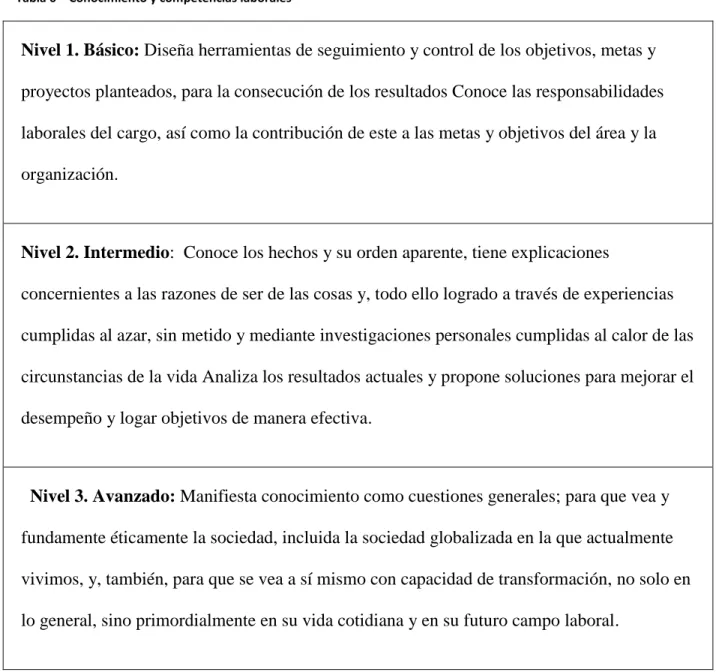 Tabla 6 – Conocimiento y competencias laborales  