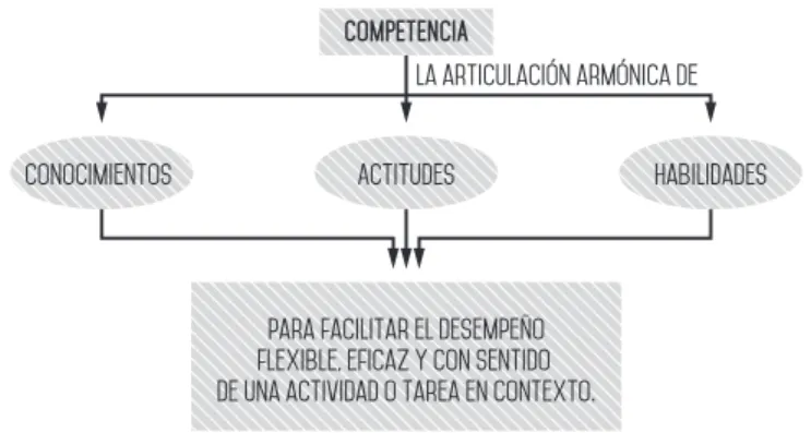 Figura 6: Concepto de competencia.