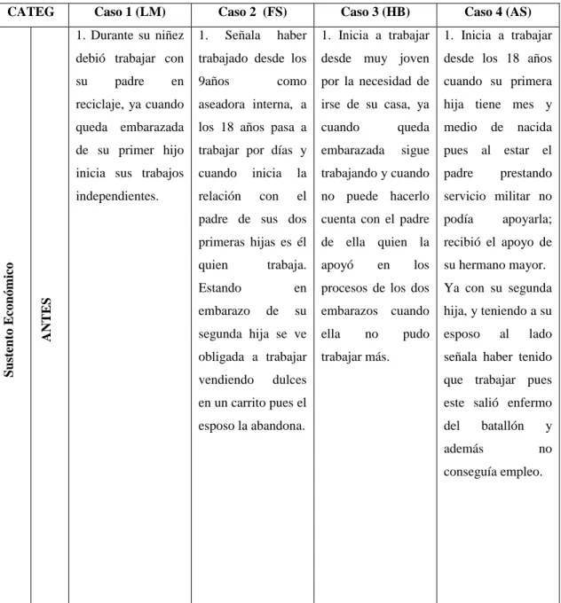 Tabla 6. Análisis Intercaso Categoría Sustento Económico. 
