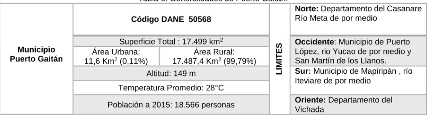 Tabla 6: Generalidades de Puerto Gaitán. 