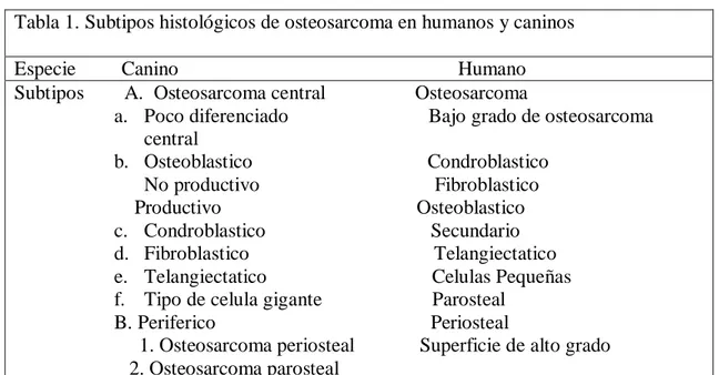 Tabla 1. Clasificación histológica del osteosarcoma para humanos y caninos.  