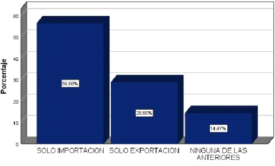 Gráfico 5: Actividades de Comercio. 