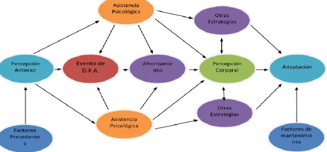 Figura 1. Sistema de atención a personas con Discapacidad Física Adquirida. Autoras