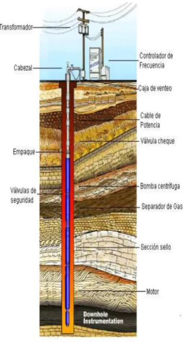 FIGURA 2. 8  COMPONENTES DEL SISTEMA B.E.S 