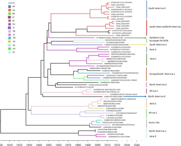 Figure 4.  Time-measured Bayesian MCC tree for CDV H gene. Branches are colored according to the country  color code in the upper left