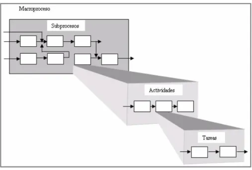 Figura 10. Estructura por procesos. 
