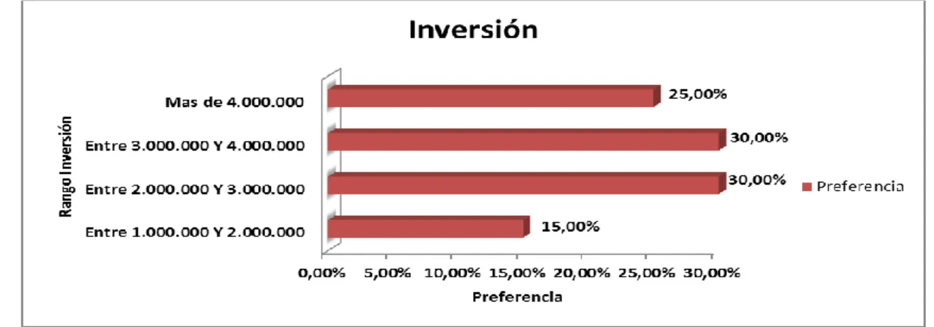 Figura 16. Inversión 