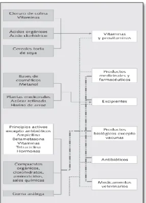 Figura 1. Estructura Simplificada de la Cadena 