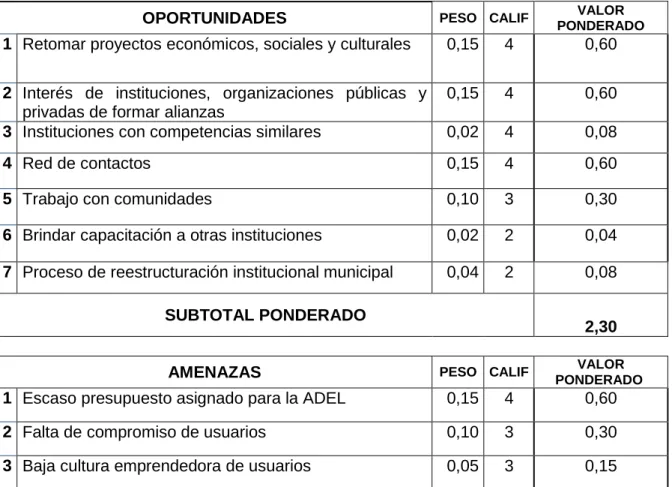 Tabla 6 – Matriz de evaluación de factores externos 