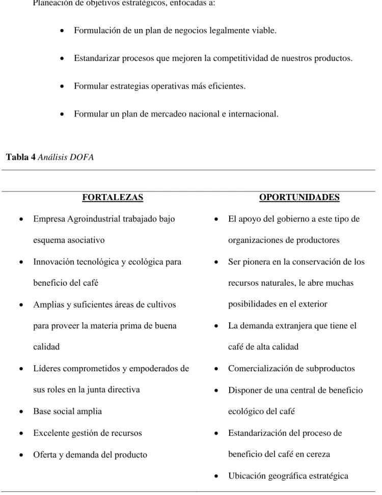 Tabla 4 Análisis DOFA 