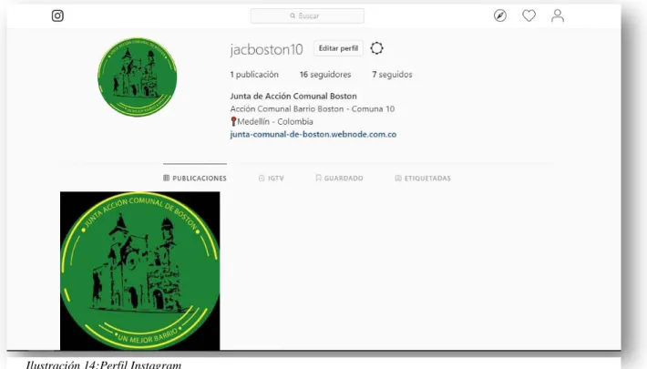 Ilustración 14:Perfil Instagram 
