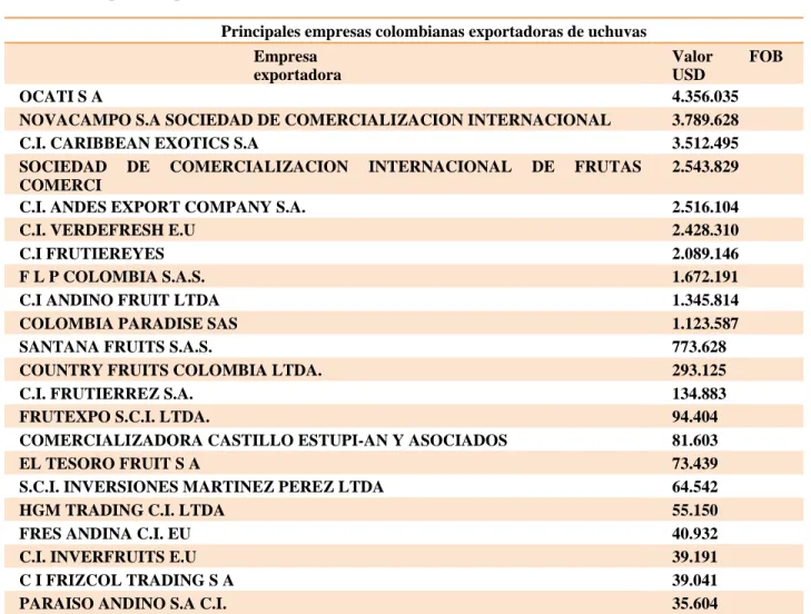 Tabla 12. Empresas exportadoras de uchuva 