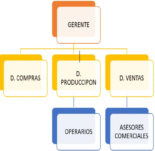 Figura 5.  Estructura jerárquica de RIVEPAN 