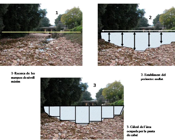 Figura  3.4.  Estructura  de  la  mesura  dels  cabals  als  punts  aforats. 