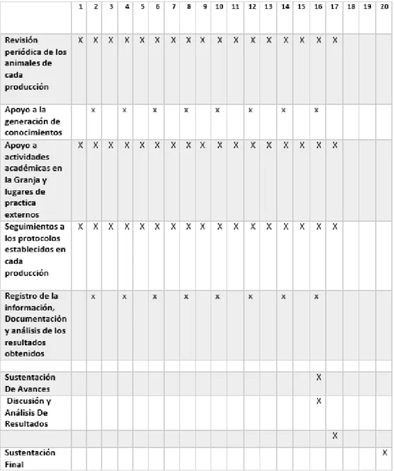 Tabla 1: Ejecución de actividades entre Febrero y Junio del año 2018 
